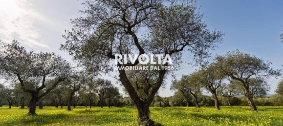 1غرفة قطعة أرض في Alghero, Italy رقم 40147 11