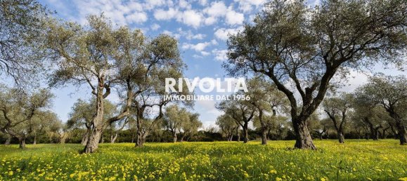 1غرفة قطعة أرض في Alghero, Italy رقم 40147 3