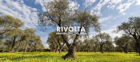 1غرفة قطعة أرض في Alghero, Italy رقم 40147 4