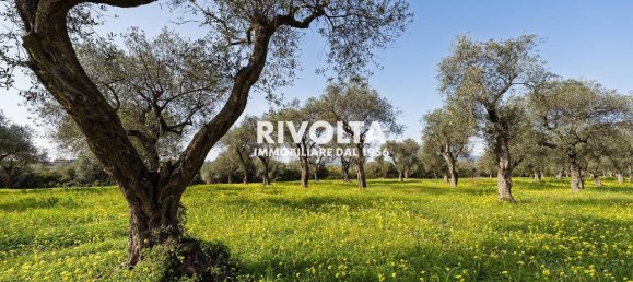 1غرفة قطعة أرض في Alghero, Italy رقم 40147 7