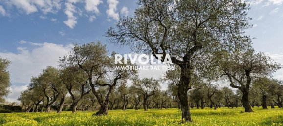 1غرفة قطعة أرض في Alghero, Italy رقم 40147 2