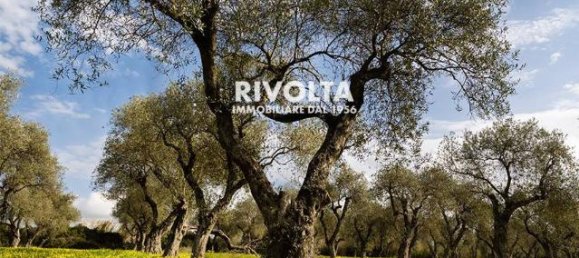 1غرفة قطعة أرض في Alghero, Italy رقم 40147 12