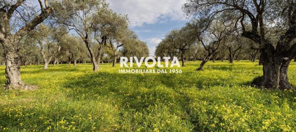 1غرفة قطعة أرض في Alghero, Italy رقم 40147 10