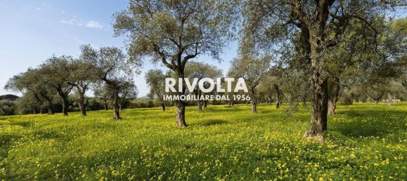 1غرفة قطعة أرض في Alghero, Italy رقم 40147 9