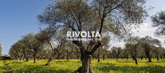 1غرفة قطعة أرض في Alghero, Italy رقم 40147 6