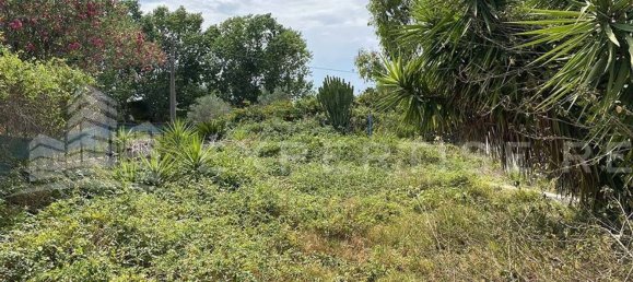 3 rooms House in Syracuse, Italy No. 247199 4