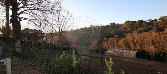 3 bedrooms House in Cabeceiras de Basto, Portugal No. 37376 5