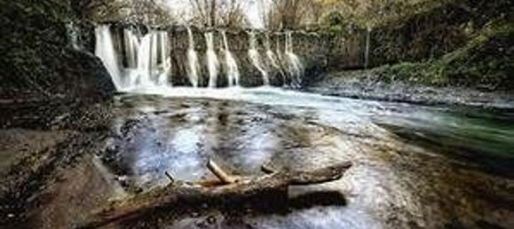 4350m² Land in Corchiano, Italy No. 144503 4