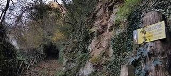 4350m² Land in Corchiano, Italy No. 144503 7