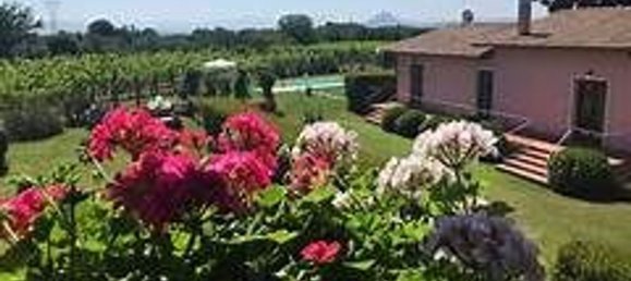 4350m² Land in Corchiano, Italy No. 144503 2