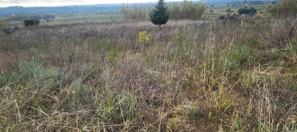 Terreno em Paulhan, France 3710 m² N.º 222649 2