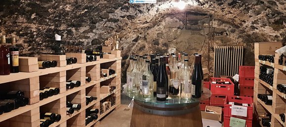 Hotel in Groß Gerungs, Austria 219m², Nr. 213161 5