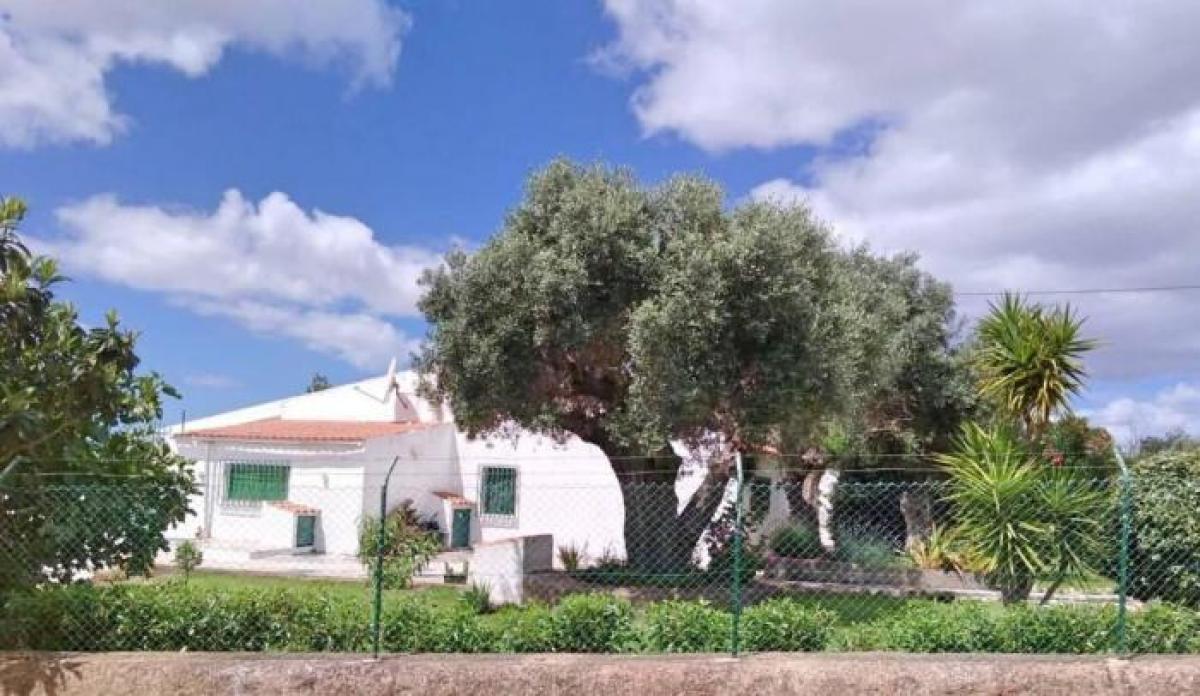 Casa T5 em Silves, Portugal N.º 4179