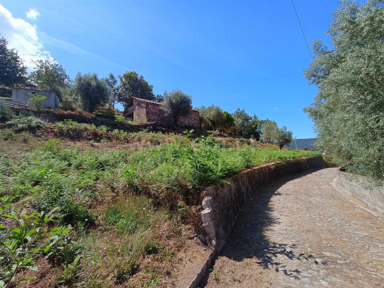 350m² Land in Viana do Castelo, Portugal No. 288601