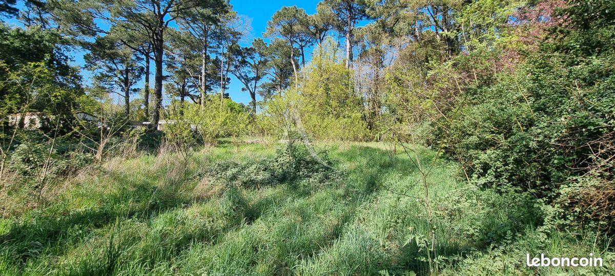 Grundstück in Saint-Hilaire-de-Riez, France 2863m², Nr. 112452