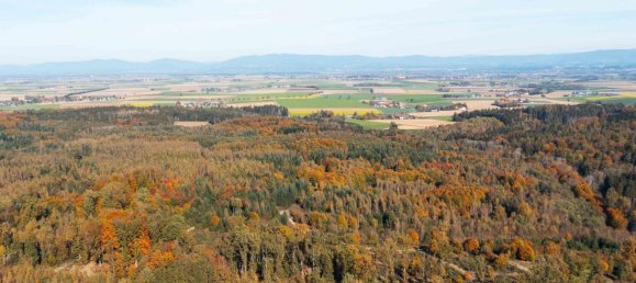 7 rooms Farm in Deggendorf, Germany No. 199936 36