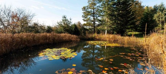 7 rooms Farm in Deggendorf, Germany No. 199936 32