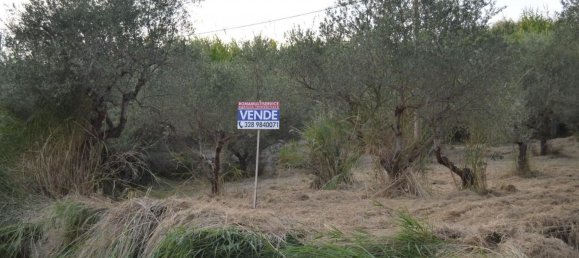 Terreno en Silvi, Italy 1040 m² No. 79697 13