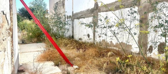  Land in Campos, Spain No. 179424 3