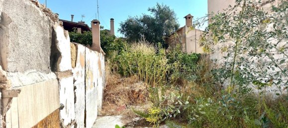  Land in Campos, Spain No. 179424 14