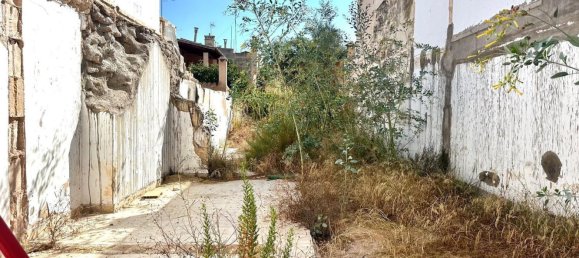  Land in Campos, Spain No. 179424 13