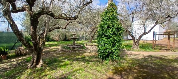 5 rooms House in Viterbo, Italy No. 13400 4