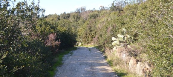 10 rooms House in Santa Marinella, Italy No. 255977 12