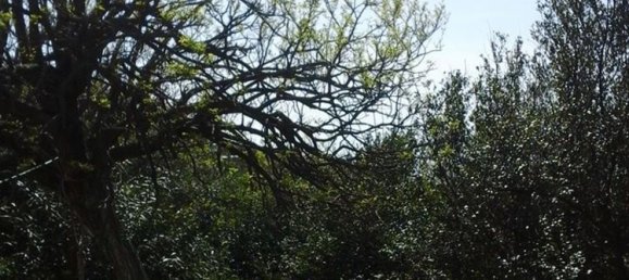 10 rooms House in Santa Marinella, Italy No. 255977 15