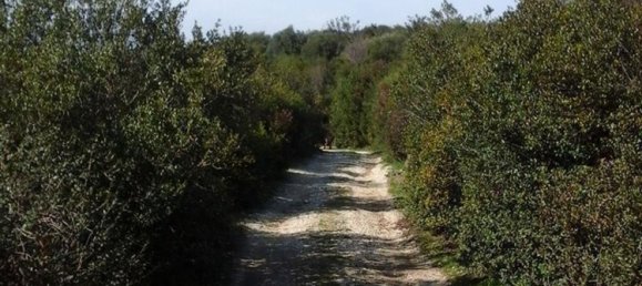 10 rooms House in Santa Marinella, Italy No. 255977 7