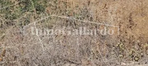  قطعة أرض في Rincon de la Victoria, Spain 453متر مربع رقم 56229 6