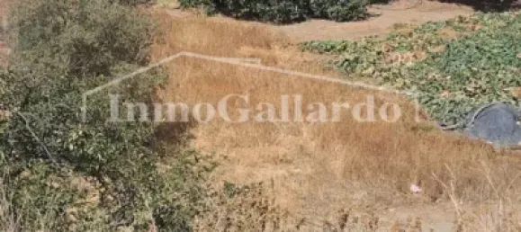  قطعة أرض في Rincon de la Victoria, Spain 453متر مربع رقم 56229 4