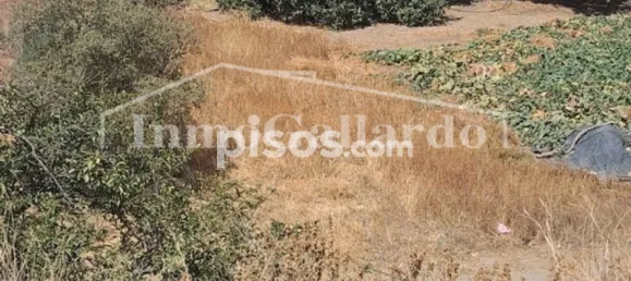  قطعة أرض في Rincon de la Victoria, Spain 453متر مربع رقم 56229 5