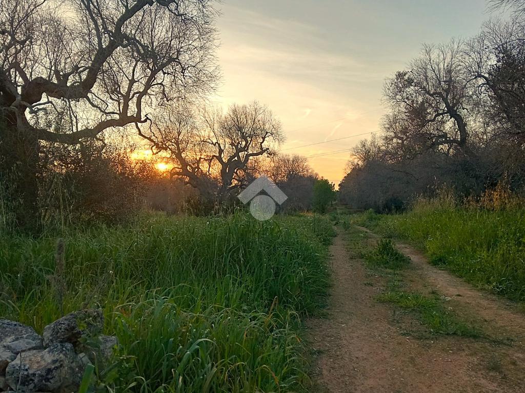 Grundstück in San Vito dei Normanni, Italy 8991m², Nr. 54244