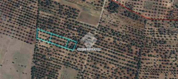 Grundstück in San Vito dei Normanni, Italy 8991m², Nr. 54244 9