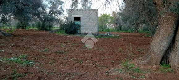 Grundstück in San Vito dei Normanni, Italy 8991m², Nr. 54244 12