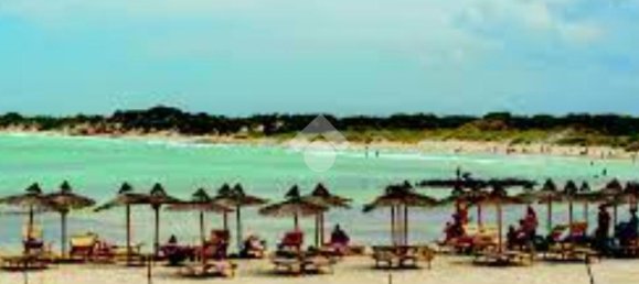 Grundstück in San Vito dei Normanni, Italy 8991m², Nr. 54244 7