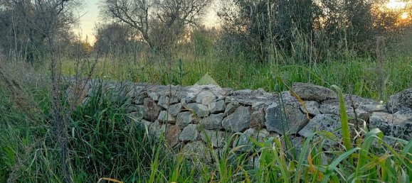 Grundstück in San Vito dei Normanni, Italy 8991m², Nr. 54244 6