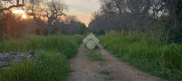 Grundstück in San Vito dei Normanni, Italy 8991m², Nr. 54244 13