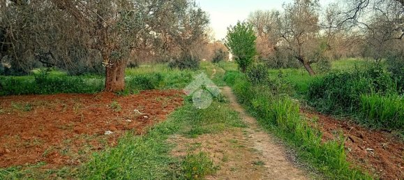 Grundstück in San Vito dei Normanni, Italy 8991m², Nr. 54244 2