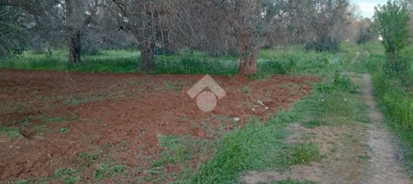 Grundstück in San Vito dei Normanni, Italy 8991m², Nr. 54244 10