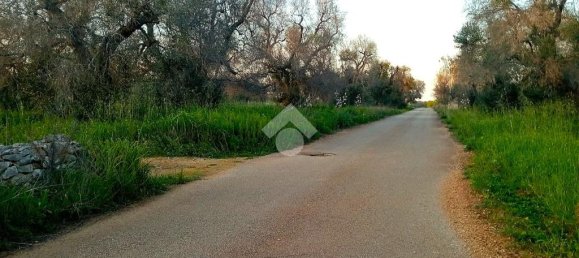 Grundstück in San Vito dei Normanni, Italy 8991m², Nr. 54244 3