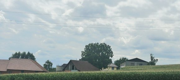 Terrain à Kematen an der Krems, Austria No. 258332 3