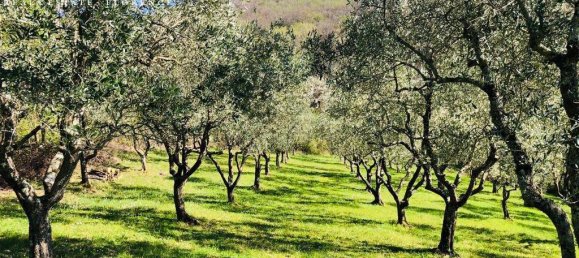 5 غرف نوم منزل في Dicomano, Italy رقم 153877 14