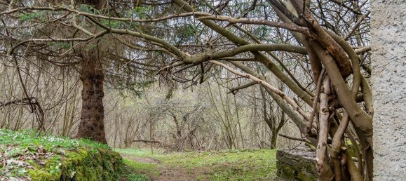 10 bedrooms House in Borgo Valbelluna, Italy No. 327369 11