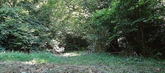 1 chambre Maison à Senones, France No. 257334 5