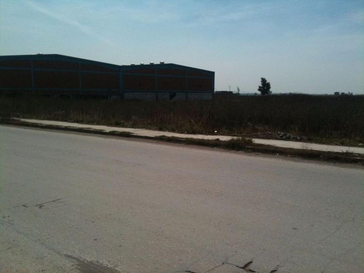 Terreno em Ciudad Lopez Mateos, Mexico N.º 204742