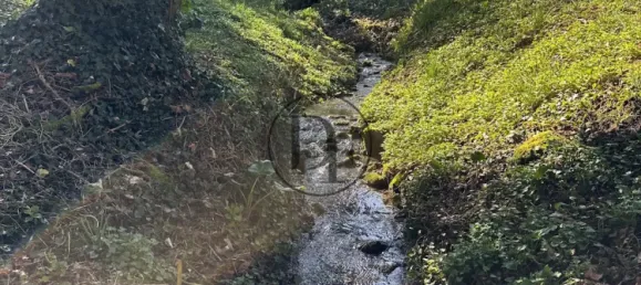 7 Schlafzimmer Wohnung in Seine-et-Marne, France, Nr. 323559 17