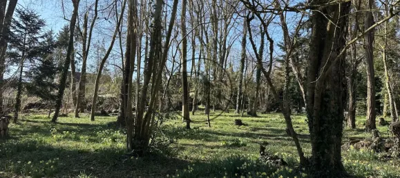 7 Schlafzimmer Wohnung in Seine-et-Marne, France, Nr. 323559 18