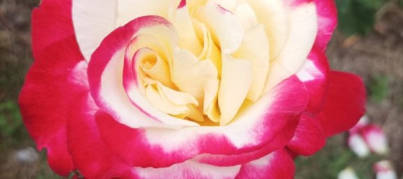 Casa de 2 dormitorios en Linguaglossa, Italy No. 349404 15