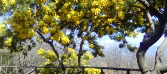 Casa de 2 dormitorios en Linguaglossa, Italy No. 349404 12